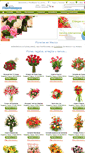 Mobile Screenshot of floralliance.com.mx